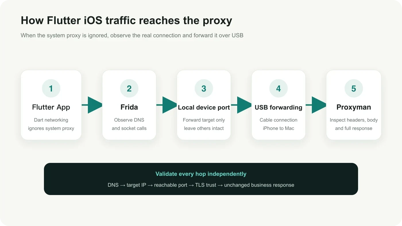 Flutter iOS traffic routed through Frida and USB forwarding into Proxyman